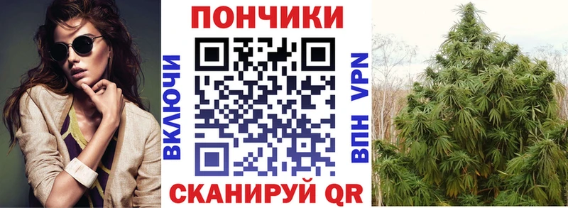 Что такое Елец ГЕРОИН Бошки Шишки A PVP АМФ Меф мяу мяу ГАШИШ Кокаин