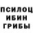 Псилоцибиновые грибы мицелий Heiko Plotner