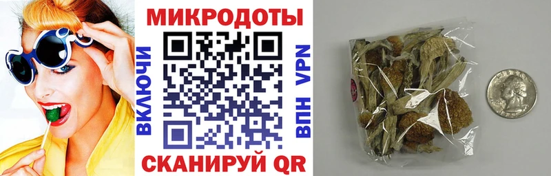 Галлюциногенные грибы Cubensis  shop телеграм  Елец 